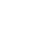 CSV Download icon